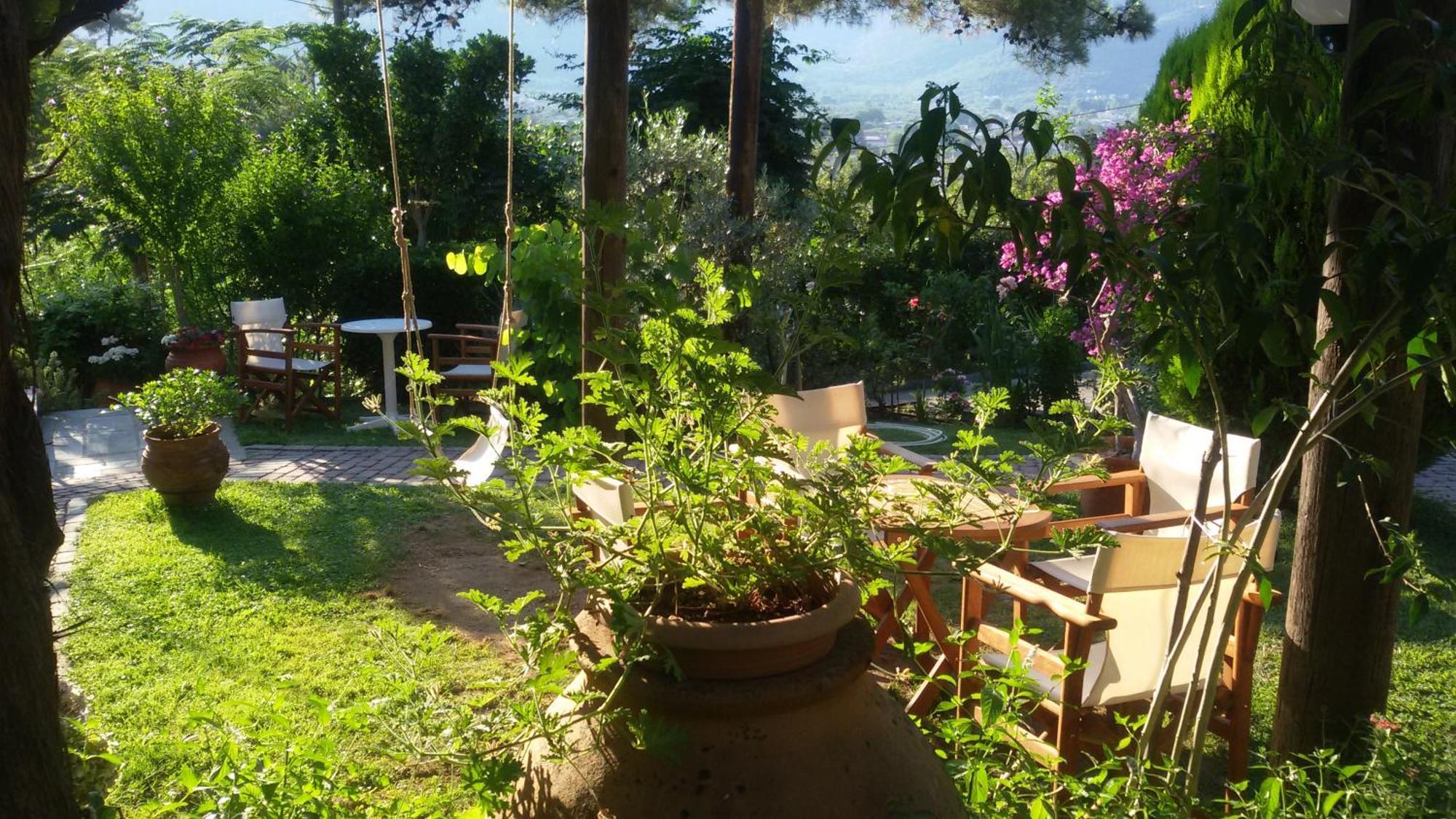 Villa Dimitra Σκάλα Ποταμιάς Εξωτερικό φωτογραφία