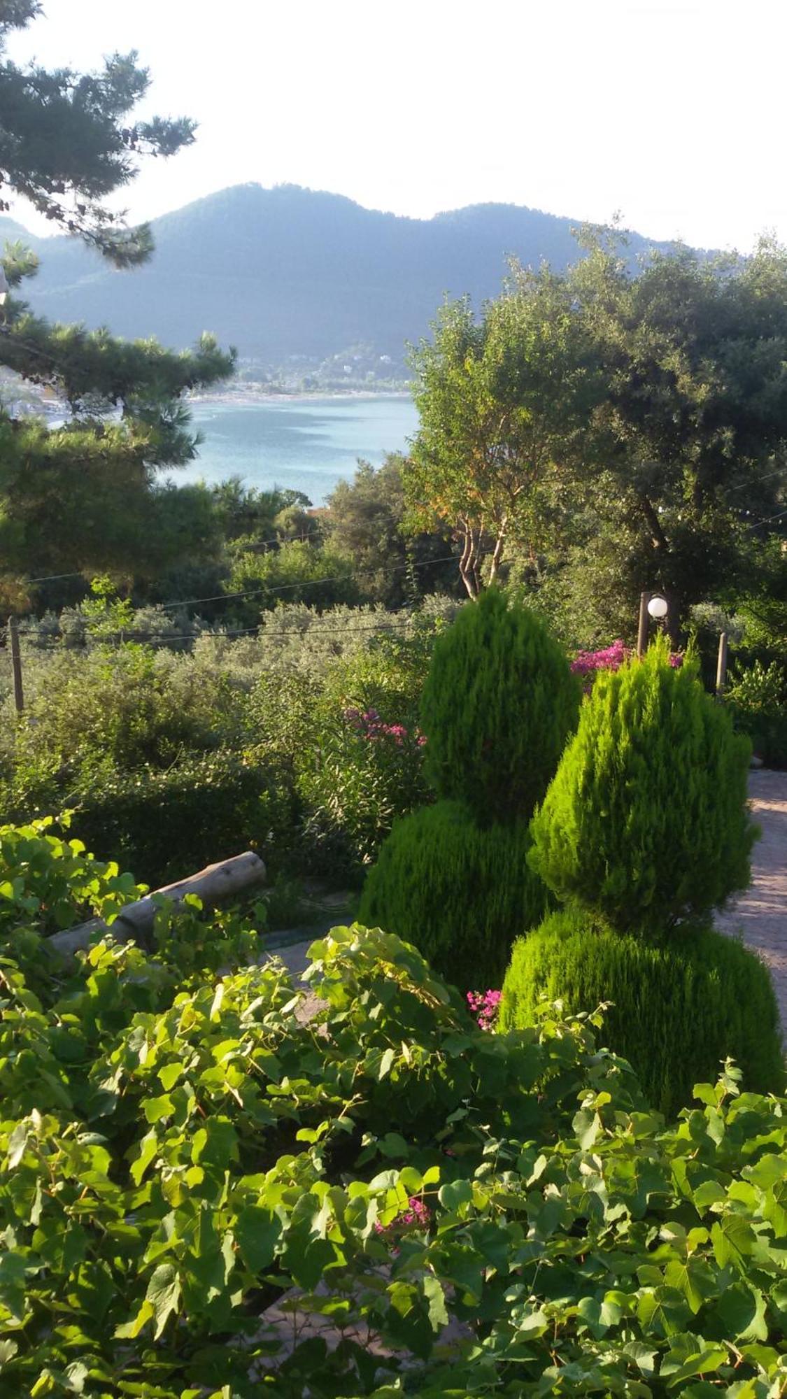 Villa Dimitra Σκάλα Ποταμιάς Εξωτερικό φωτογραφία