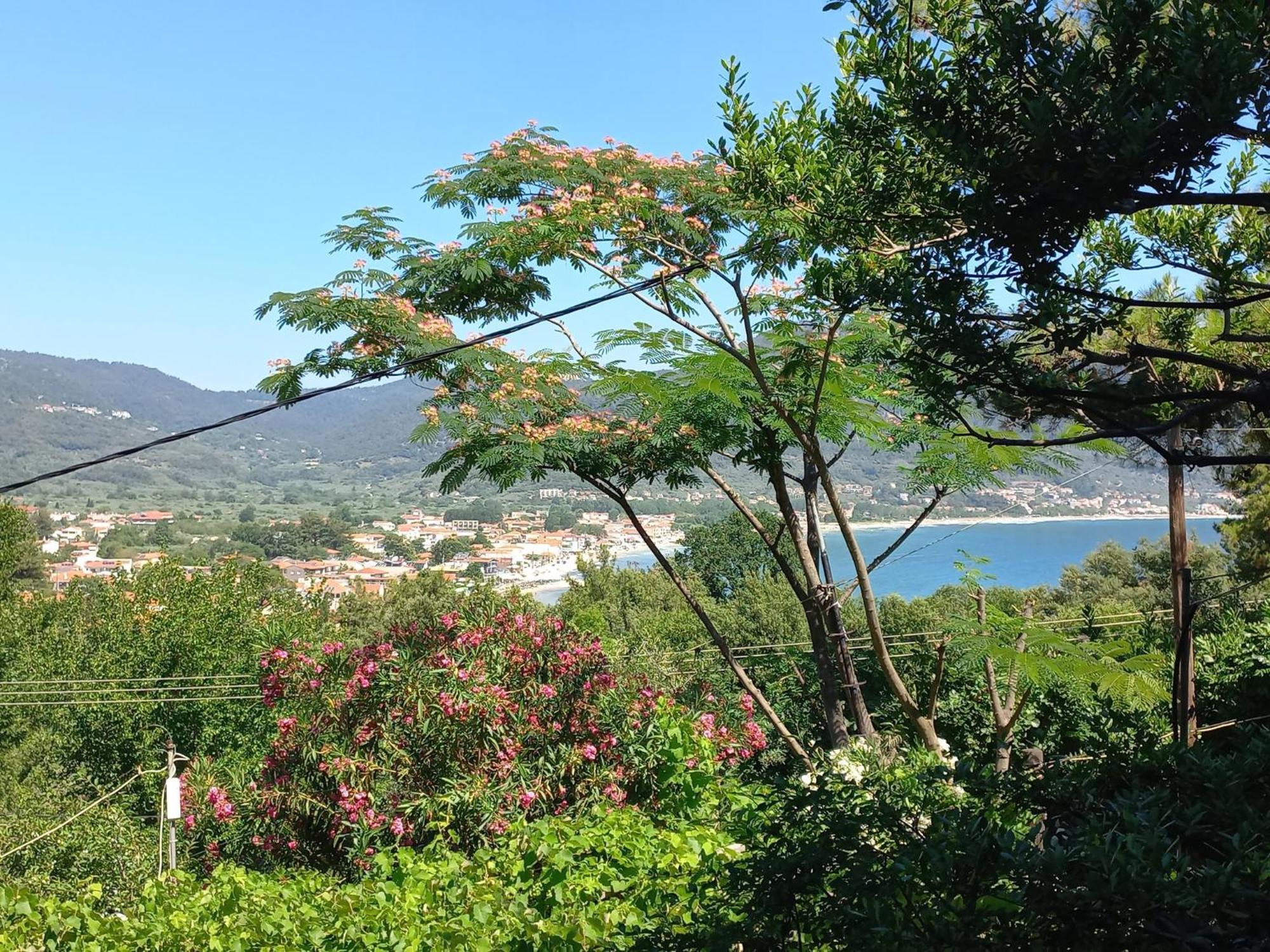 Villa Dimitra Σκάλα Ποταμιάς Εξωτερικό φωτογραφία