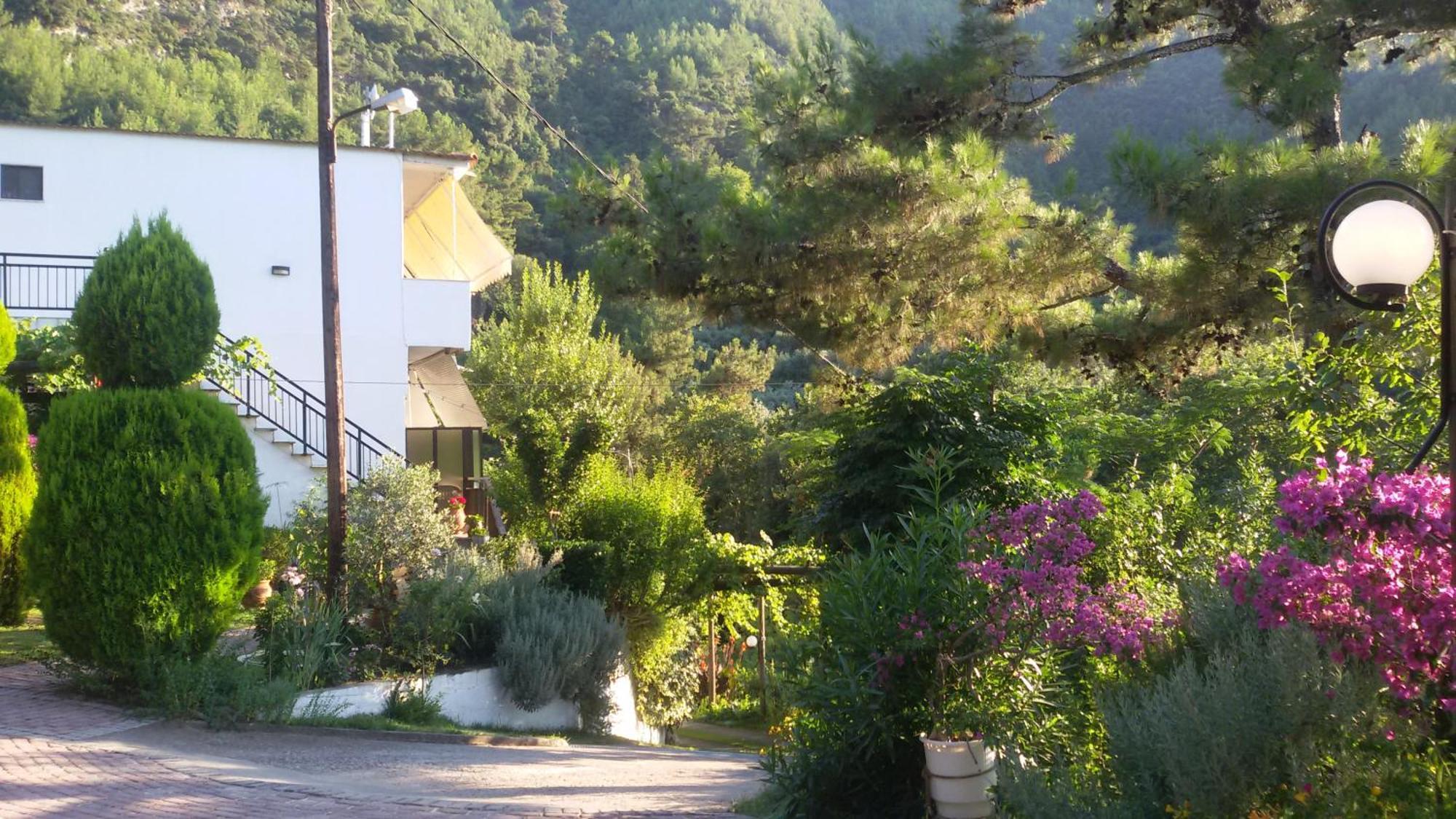 Villa Dimitra Σκάλα Ποταμιάς Εξωτερικό φωτογραφία
