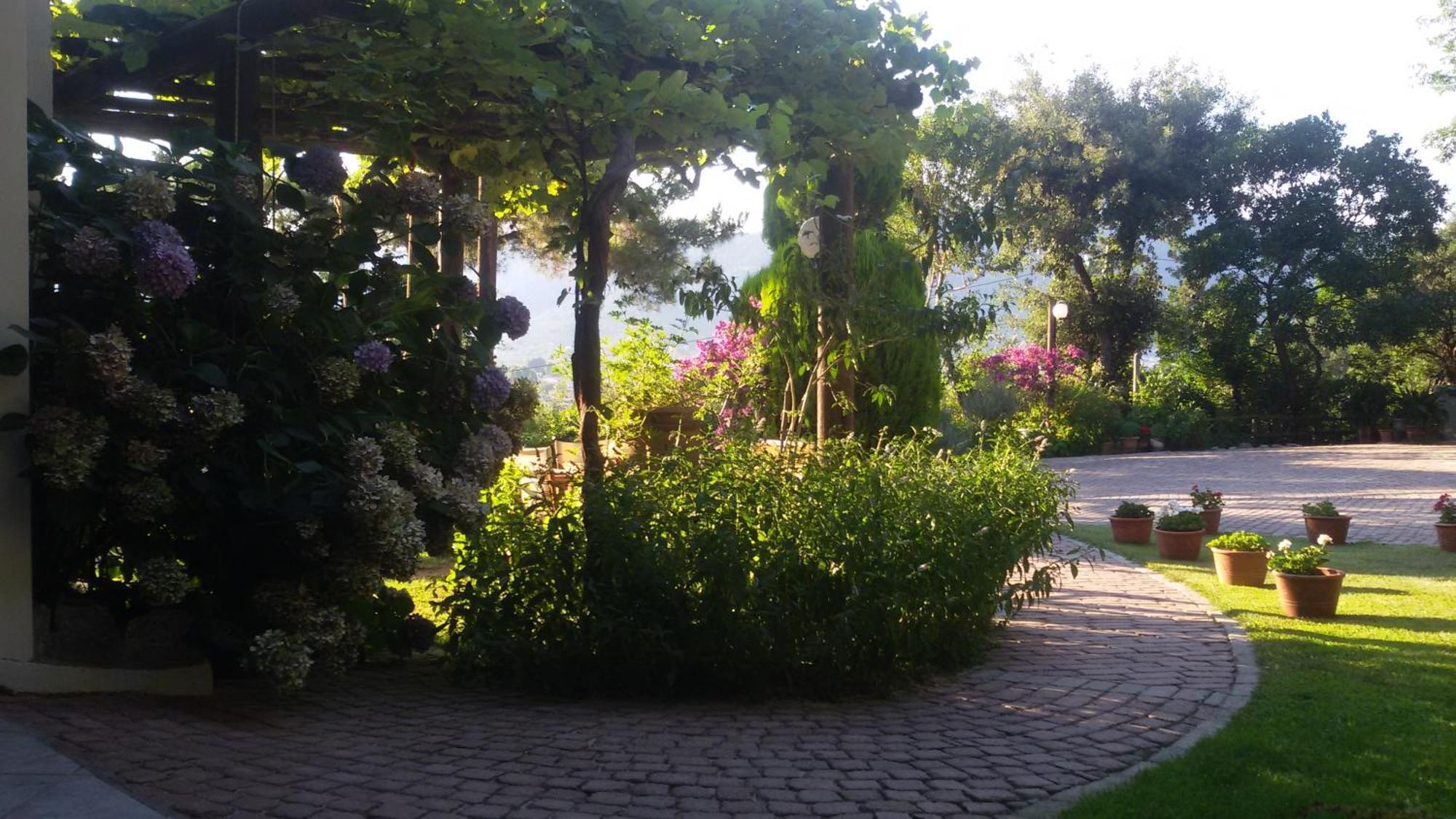 Villa Dimitra Σκάλα Ποταμιάς Εξωτερικό φωτογραφία