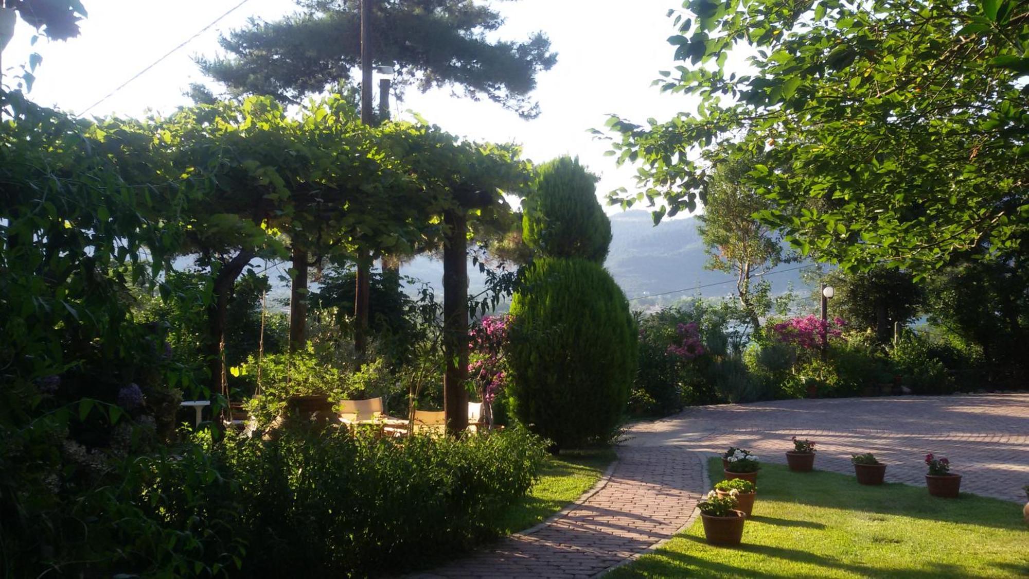 Villa Dimitra Σκάλα Ποταμιάς Εξωτερικό φωτογραφία
